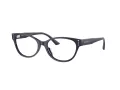 Jimmy Choo Brillen JC 3003BU 5016