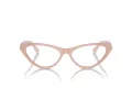 Jimmy Choo Brillen JC 3005 5014