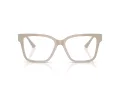 Jimmy Choo Brillen JC 3006U 5033