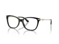 Jimmy Choo Brillen JC 3007HB 5000