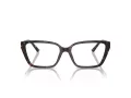 Jimmy Choo Brillen JC 3008 5002