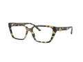 Jimmy Choo Brillen JC 3008 5004