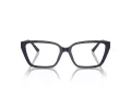 Jimmy Choo Brillen JC 3008 5016