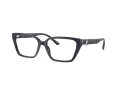 Jimmy Choo Brillen JC 3008 5016
