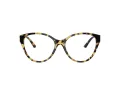 Jimmy Choo Brillen JC 3009 5004