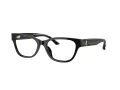 Jimmy Choo Brillen JC 3010U 5000