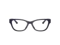Jimmy Choo Brillen JC 3010U 5016
