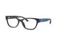 Jimmy Choo Brillen JC 3010U 5016
