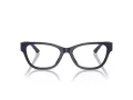 Jimmy Choo Brillen JC 3010U 5016