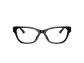 Jimmy Choo Brillen JC 3010U 5017