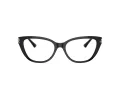 Jimmy Choo Brillen JC 3011 5000