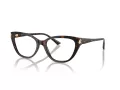 Jimmy Choo Brillen JC 3011 5002