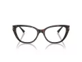 Jimmy Choo Brillen JC 3011 5002