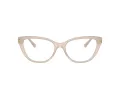 Jimmy Choo Brillen JC 3011 5025