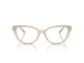 Jimmy Choo Brillen JC 3011 5025