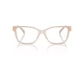Jimmy Choo Brillen JC 3012 5025