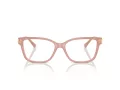 Jimmy Choo Brillen JC 3012 5027