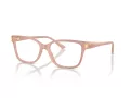 Jimmy Choo Brillen JC 3012 5027
