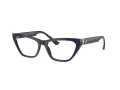 Jimmy Choo Brillen JC 3014 5023
