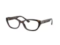 Jimmy Choo Brillen JC 3015 5002