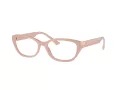 Jimmy Choo Brillen JC 3015 5014
