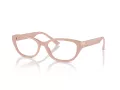 Jimmy Choo Brillen JC 3015 5014