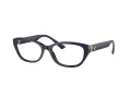 Jimmy Choo Brillen JC 3015 5023