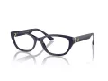 Jimmy Choo Brillen JC 3015 5023