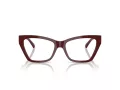Jimmy Choo Brillen JC 3021H 5057