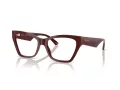 Jimmy Choo Brillen JC 3021H 5057