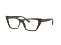 Jimmy Choo Brillen JC 3025 5060