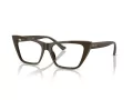 Jimmy Choo Brillen JC 3025 5060