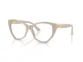 Jimmy Choo Brillen JC 3026 5033