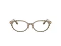 Jimmy Choo Brillen JC 3029D 5051