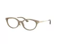 Jimmy Choo Brillen JC 3029D 5051