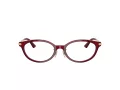 Jimmy Choo Brillen JC 3029D 5062