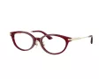 Jimmy Choo Brillen JC 3029D 5062