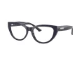 Jimmy Choo Brillen JC 3030B 5016