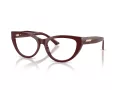 Jimmy Choo Brillen JC 3030B 5057