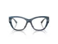 Jimmy Choo Brillen JC 3033BU 5072