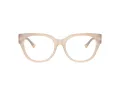 Jimmy Choo Brillen JC 3035 5025