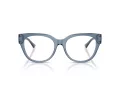 Jimmy Choo Brillen JC 3035 5067