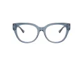 Jimmy Choo Brillen JC 3035 5067