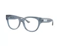 Jimmy Choo Brillen JC 3035 5067