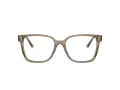 Jimmy Choo Brillen 3038D 5051