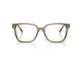 Jimmy Choo Brillen 3038D 5051
