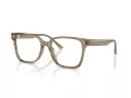 Jimmy Choo Brillen 3038D 5051