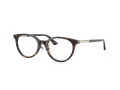 Jimmy Choo Brillen JC 3039D 5002