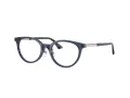 Jimmy Choo Brillen JC 3039D 5035
