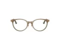 Jimmy Choo Brillen JC 3039D 5051